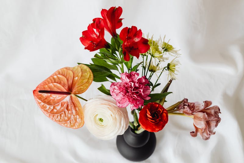 Abonnement Hebdomadaire Florajet