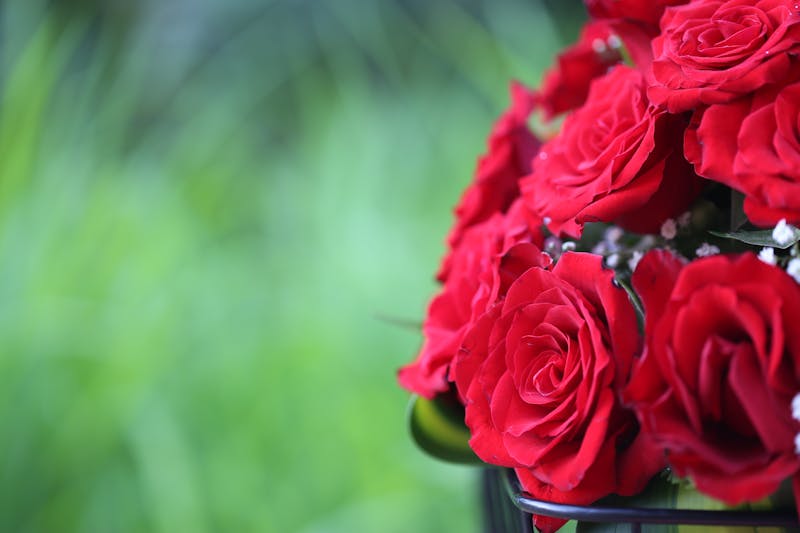 Bouquet Romantique Florajet